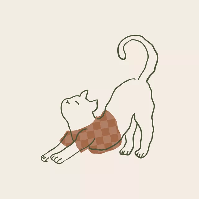 Kissen Morning Cat