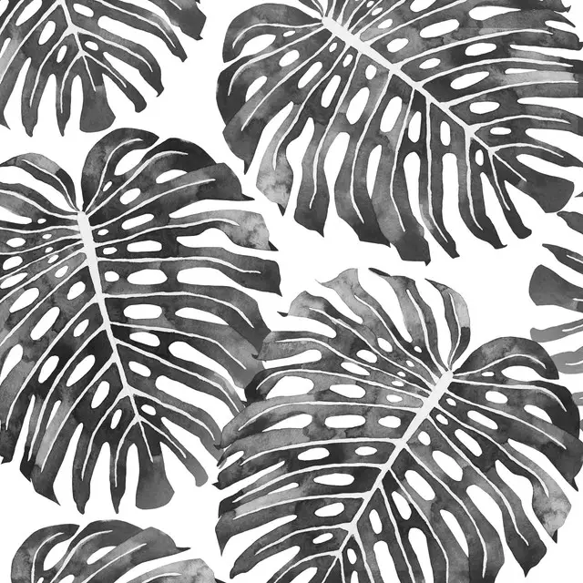 Kissen Monstera Leaves black
