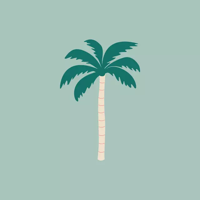 Kissen Summer Palmtree Aqua