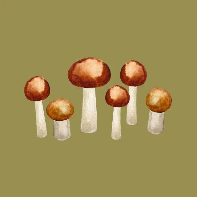 Kissen Wild Mushrooms