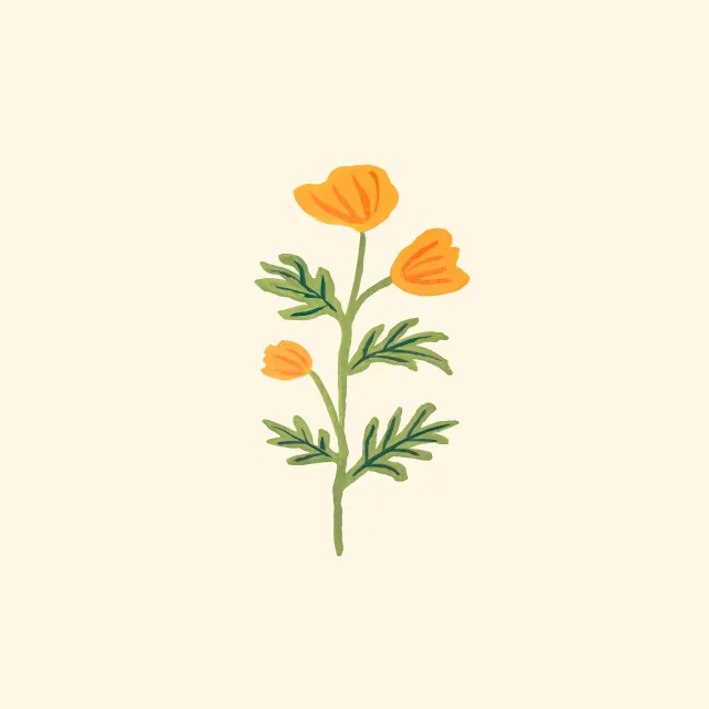Kissen Spring Flower orange