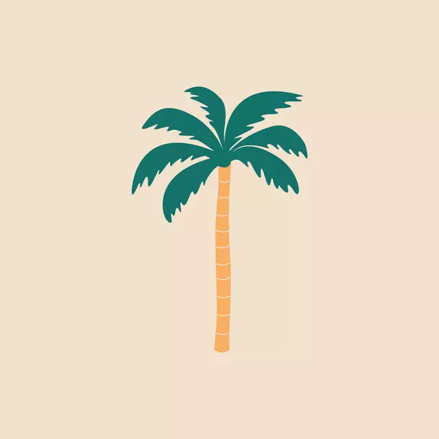 Summer Palmtree Sand