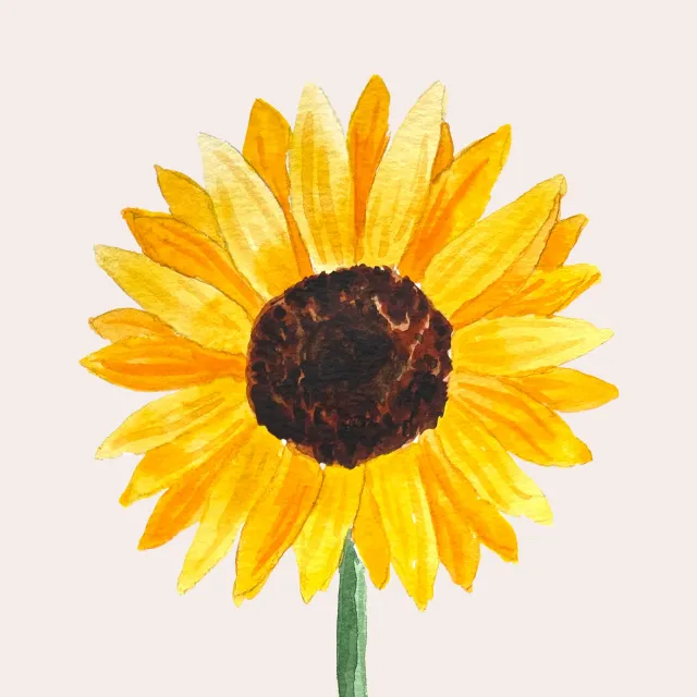 Kissen Golden Sunflower Bloom