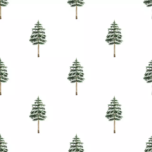 Tannenbäume Winterwald