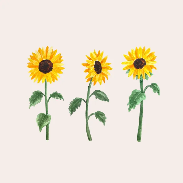 Kissen Golden Sunflowers