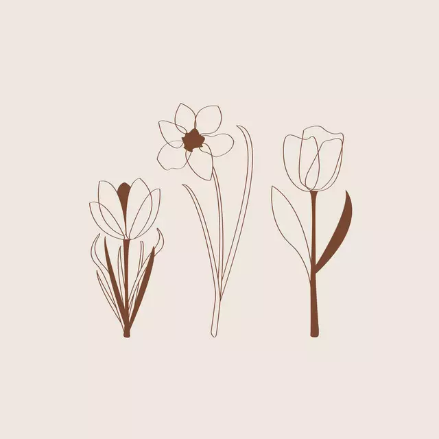 Kissen Spring Flower Trio