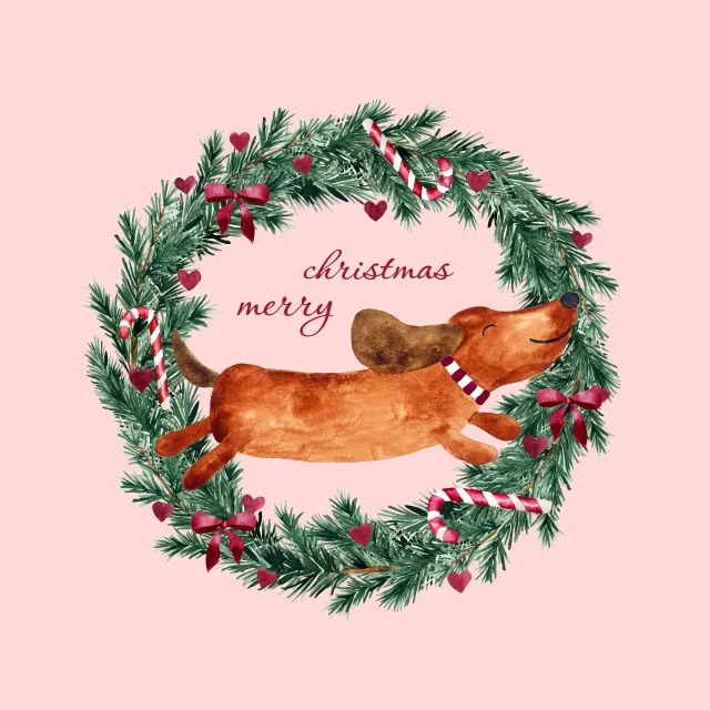 Geschirrtücher Merry Christmas Dackel