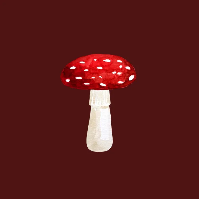 Kissen Woodland Mushroom
