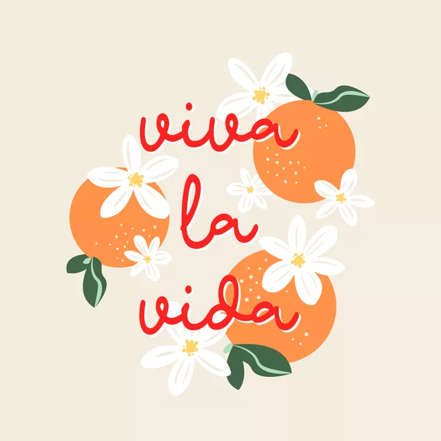 Kissen Viva La Vida