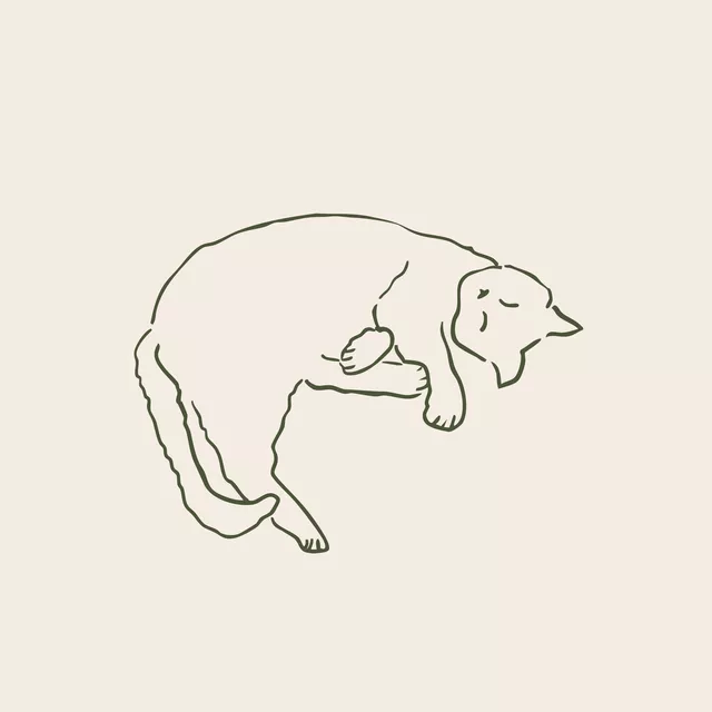 Kissen Sleeping Cat