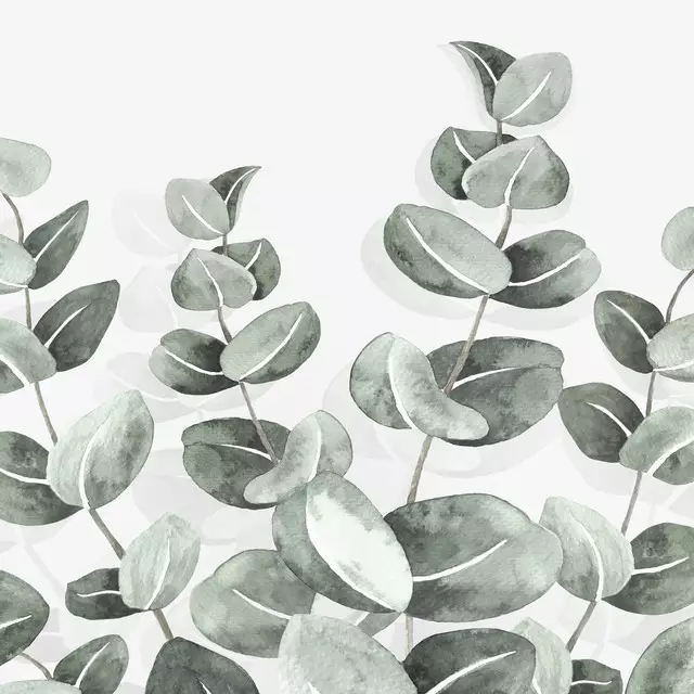 Kissen Eucalyptus Watercolor green