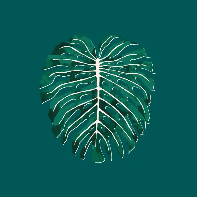 Kissen Monstera Jungle Leaf dark teal