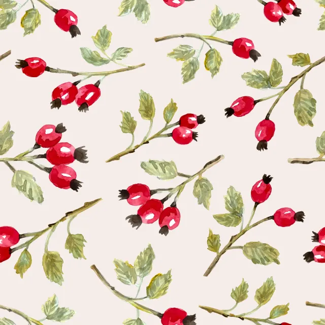 Kissen Wild Rosehip Branches