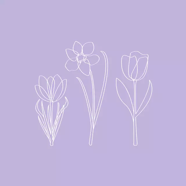 Tischset Lined Spring Flowers Lilac