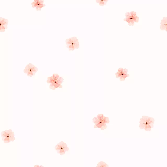 Soft Cherry Blossoms