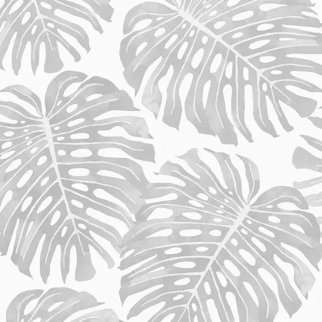 Monstera Leaves grey
