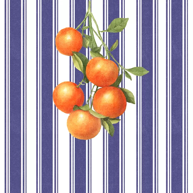 Kissen Coastal Stripes and oranges