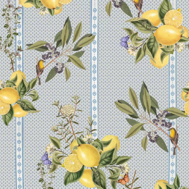 Provence lemons and birds 1