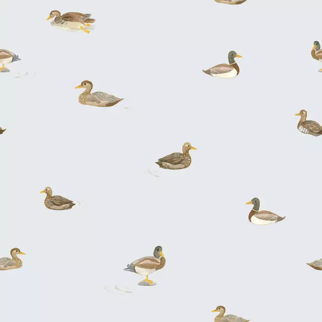 Enten