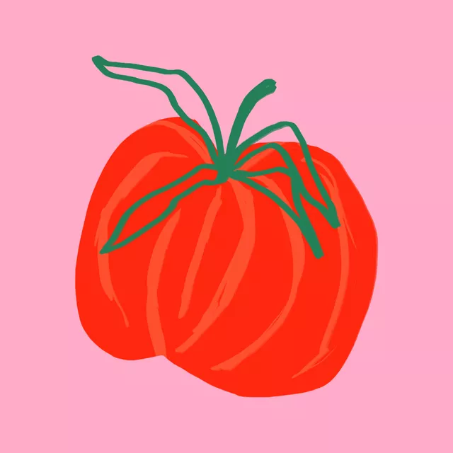 Kissen Tomato pink
