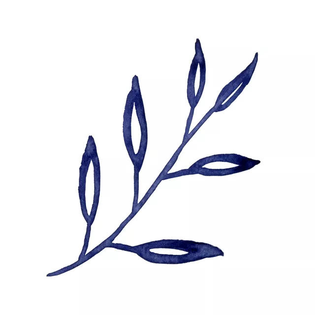 Seaside Notes 6