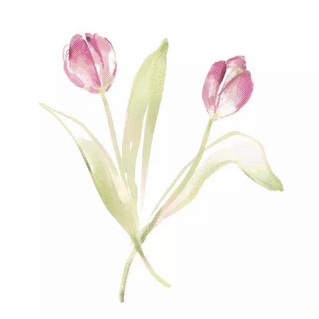 Servietten Tulpen