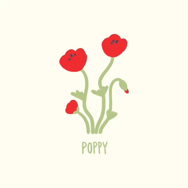 Kissen Poppy