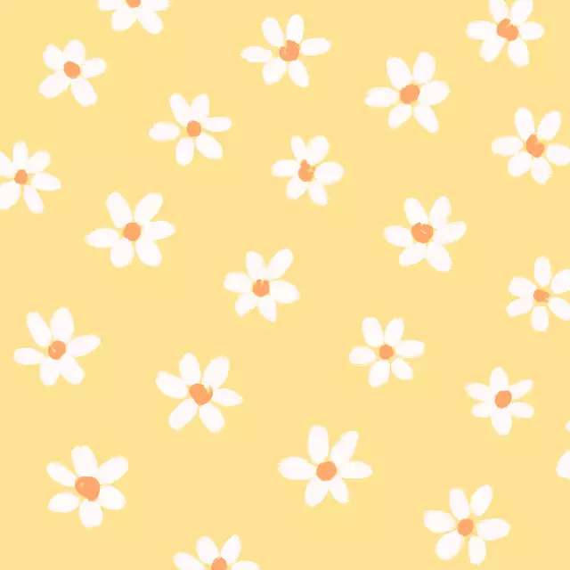 Kissen Gänseblümchen gelb