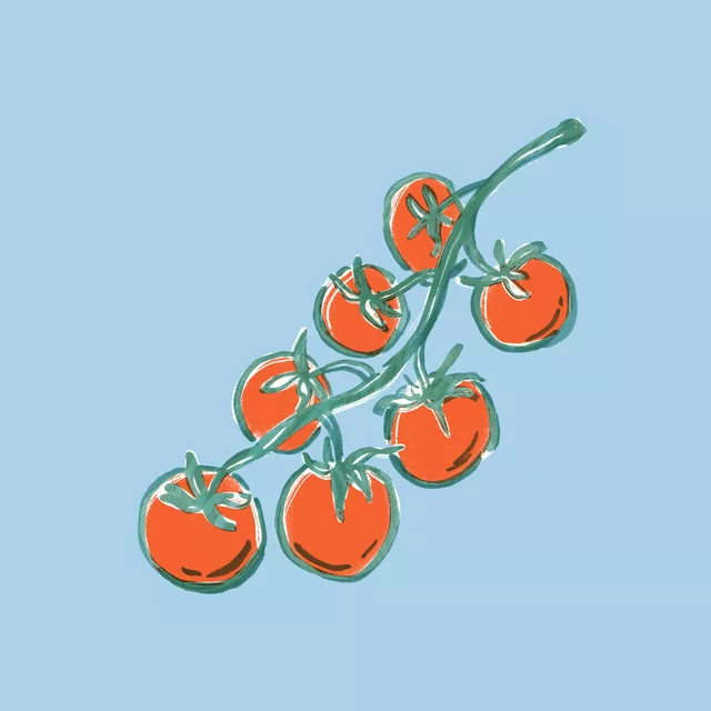 Kissen Tomaten Bella Italia