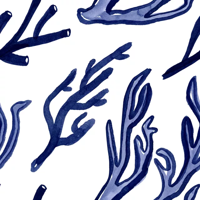 Seaside Notes 1