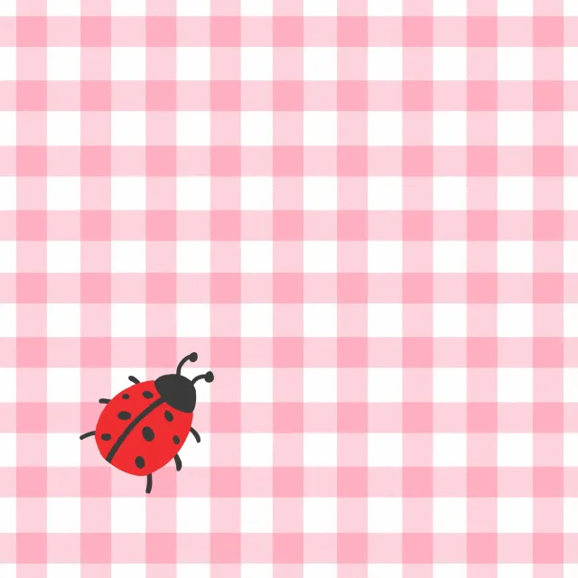 Geschirrtücher Karo Marienkäfer Rosa