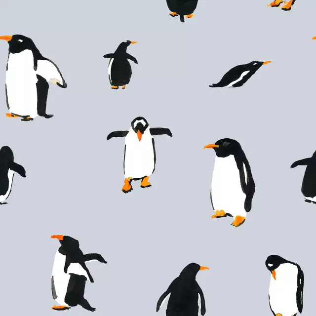 Pinguintanz grau
