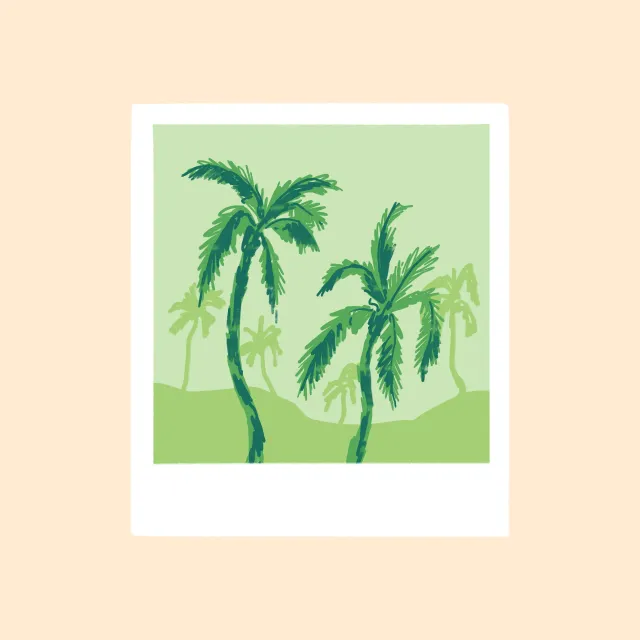 Geschirrtücher Polaroid Palms