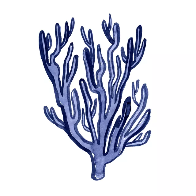 Seaside Notes 7