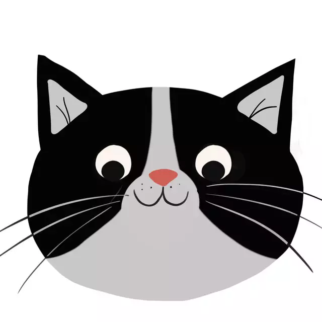 Kissen Freundliche Katze schwarz weiß