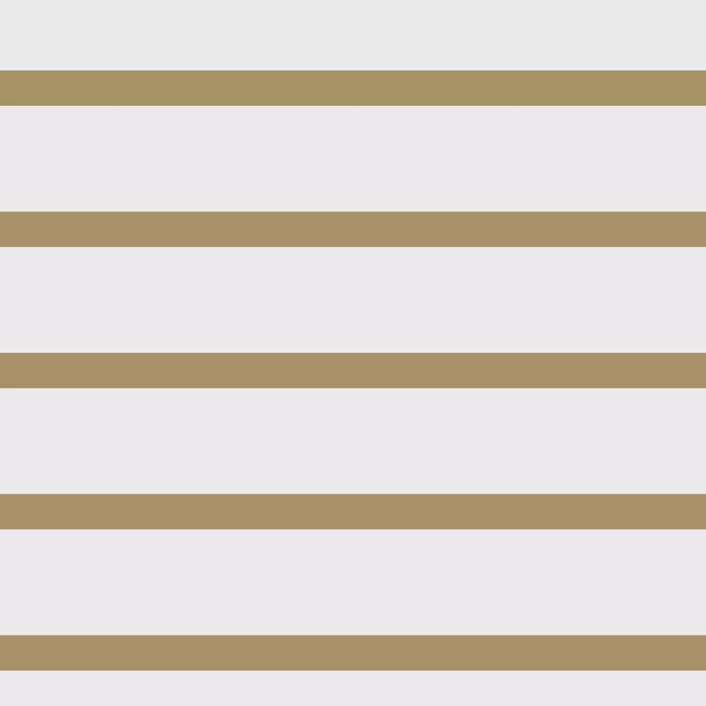 StripesNo6
