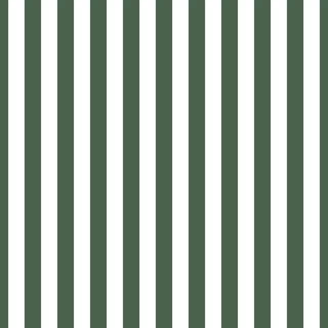 Vintage Stripe Green Small
