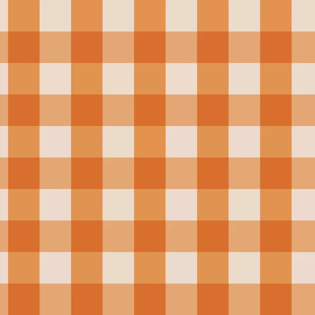 Dekovorhang Gingham Karo Orange