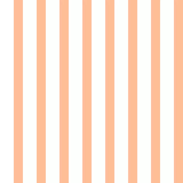 Kissen Streifen Orange Peach Fuzz