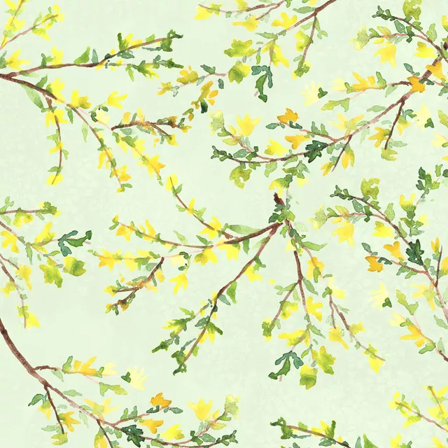 Bettwäsche Forsythie Aquarell Gelb Grün