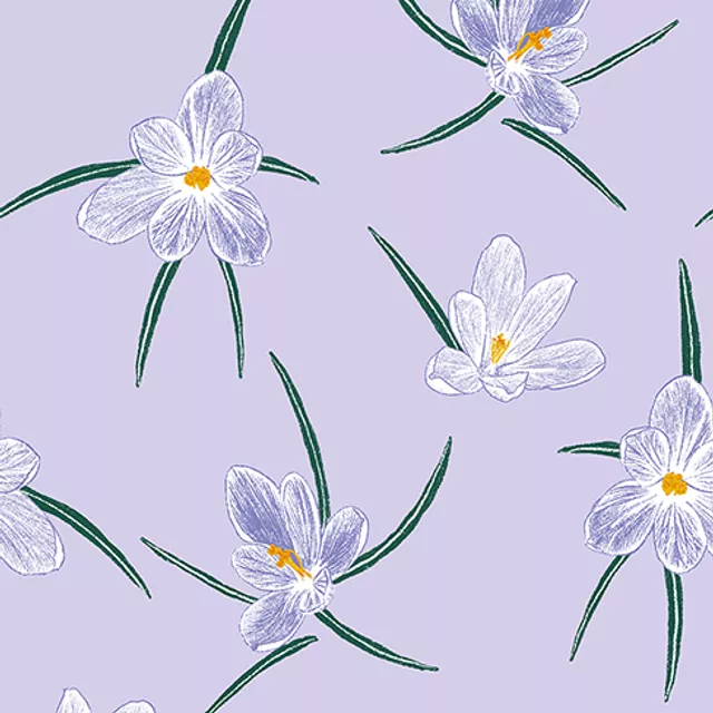 Bettwäsche Krokus Lila Flieder
