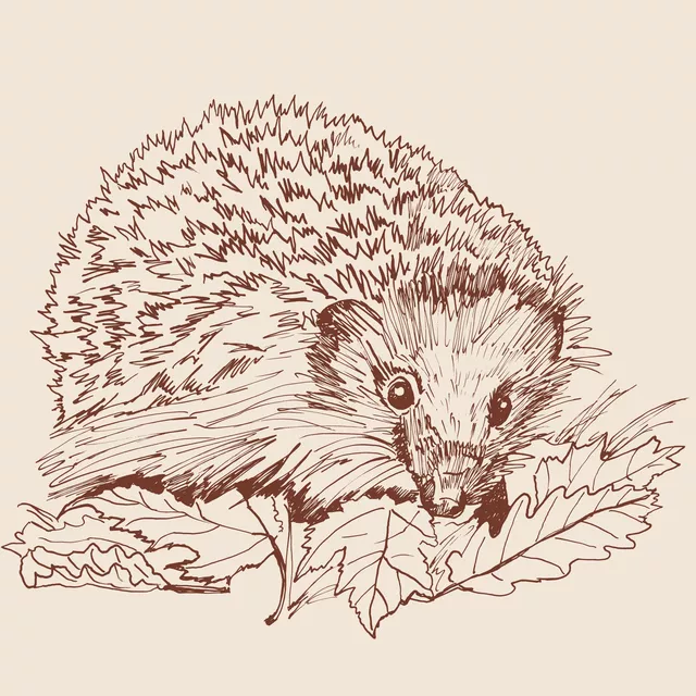 Tischset Tusche Igel im Laub
