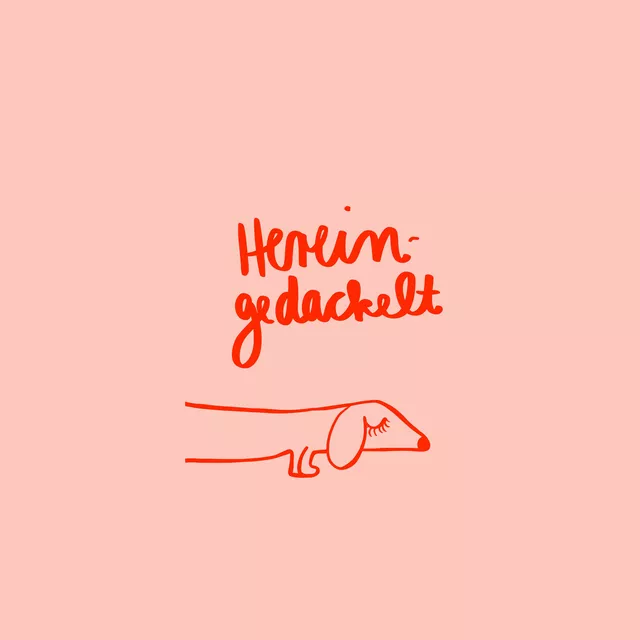 Kissen Hereingedackelt