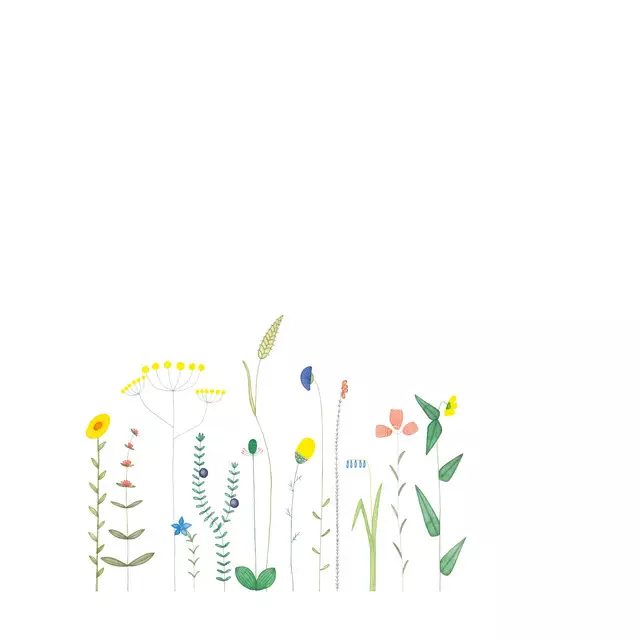 Tischset Wildkräuter
