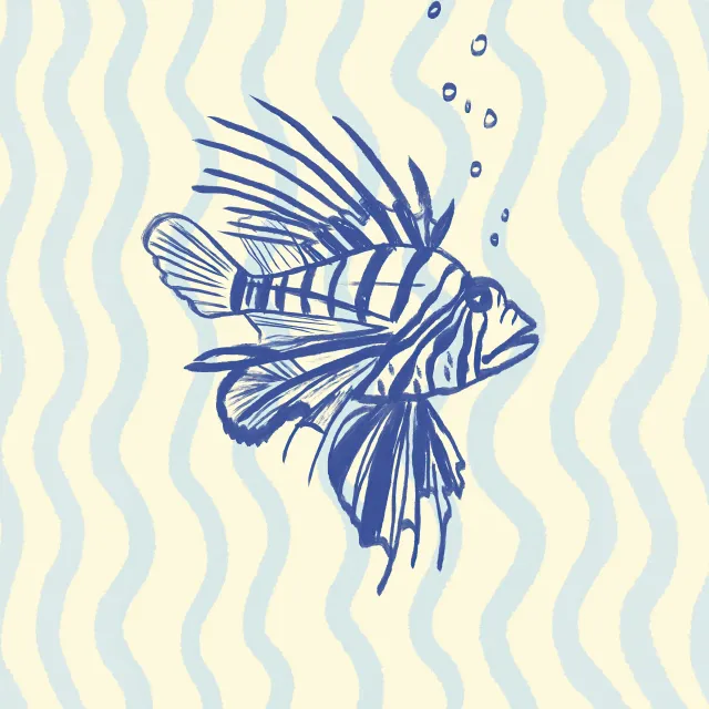 Sitzkissen Feuerfisch