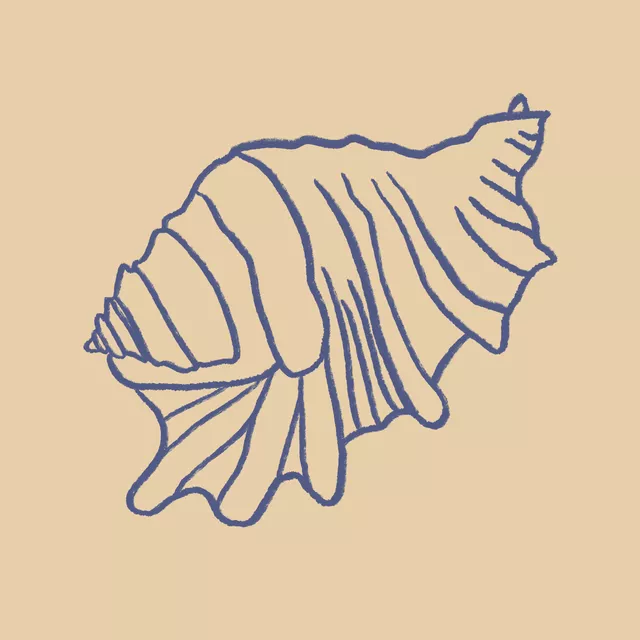 Kissen Muschel Beige Blau