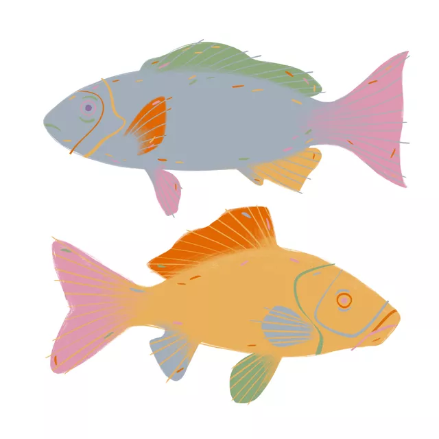 Kissen Fische