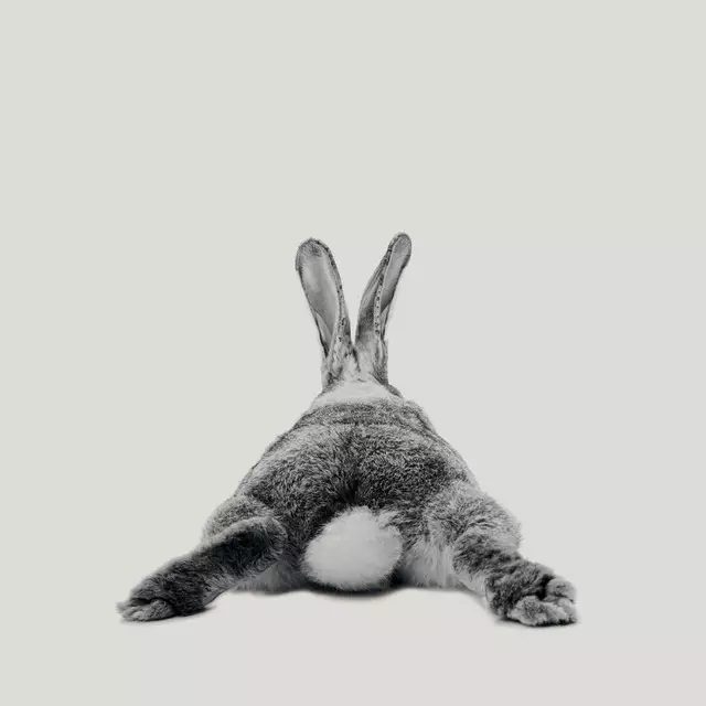 Bettwäsche Rabbit no23