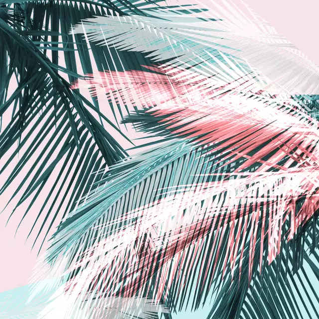 Kissen Tropical 01