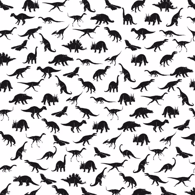 Tischset Dinosaurier 04 schwarz-weiß